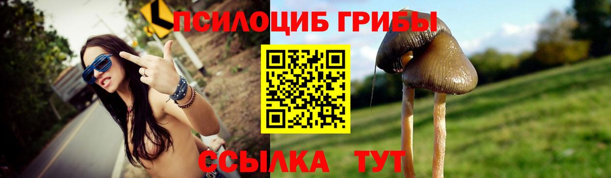 Псилоцибиновые грибы мухоморы  Вход с VPN  Псилоцибиновые грибы мухоморы  как найти закладки  Салават 